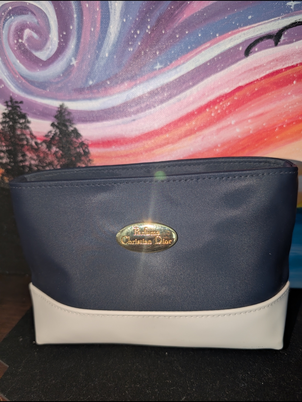 Dior Parfums Navy and White Cosmetic Pouch